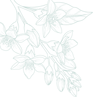 Botaneo Paysagiste Mareuil Sur Lay Dissais Nos Prestations 1