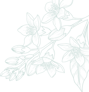Botaneo Paysagiste Mareuil Sur Lay Dissais Nos Prestations 2