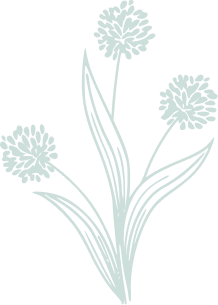 Botaneo Paysagiste Mareuil Sur Lay Dissais Reseaux Sociaux 2
